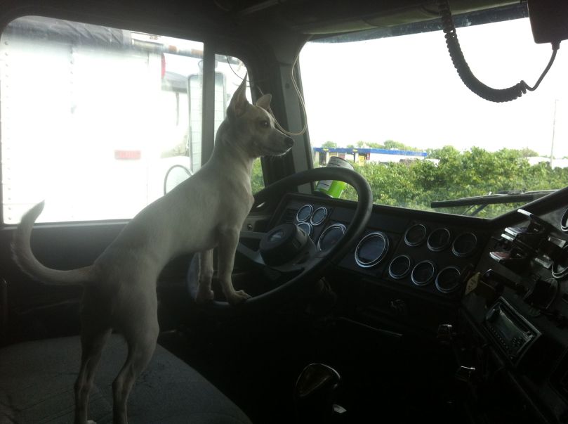 11653889_10153335139550772_184972274_o