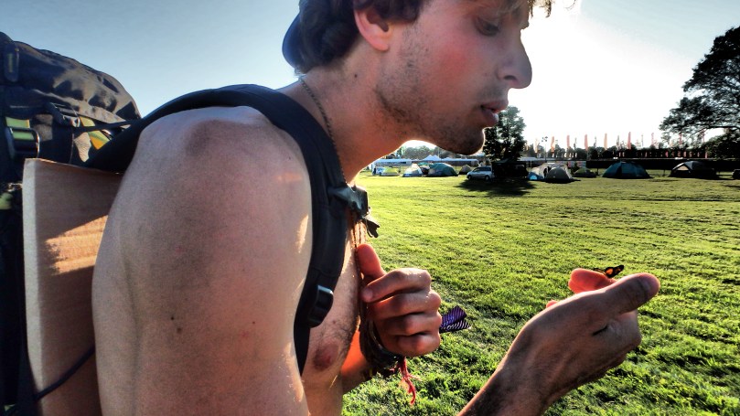 Oh, and we found a butterfly