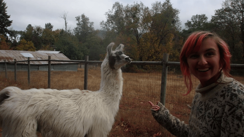 vlcsnap-2015-11-02-20h32m04s116