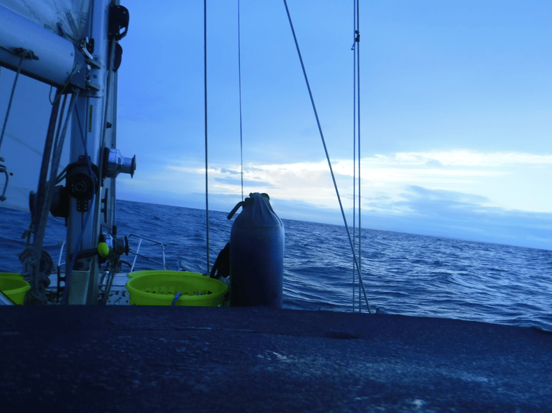 screen-shot-2017-02-04-at-5-02-18-pm