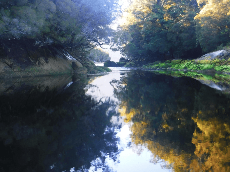 screen-shot-2017-02-04-at-5-02-32-pm