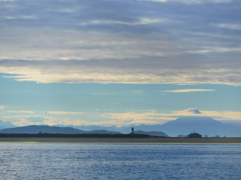 screen-shot-2017-02-04-at-5-02-51-pm